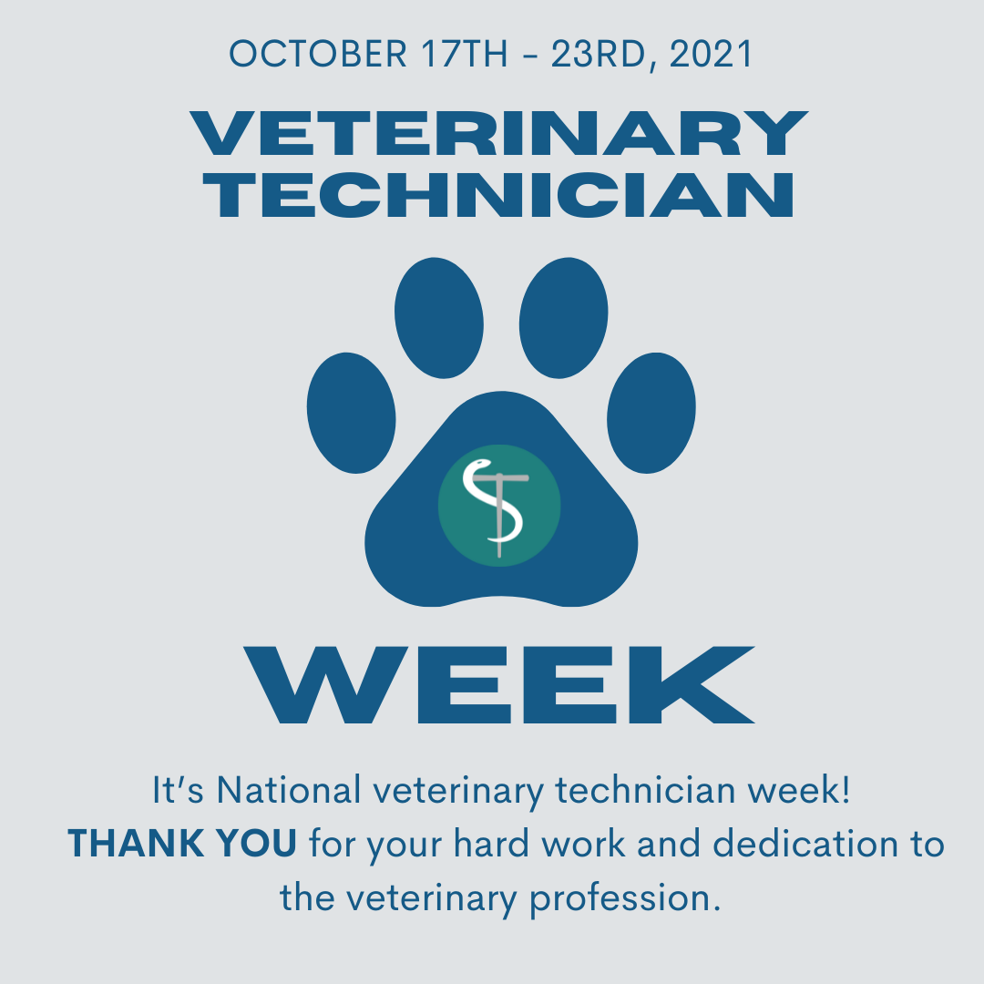 VetTechPrep's tweet photo. It's National Veterinary Technician Week! THANK YOU for your hard work and dedication to the veterinary profession! 

#Veterinary #VetTech #VetTechPrep #VetTechSchool #VetTechStudent #VetTechMed 
#VetTechAppreciationWeek2021 #VetTechAppreciationWeek https://t.co/Tc78Jfxo4R