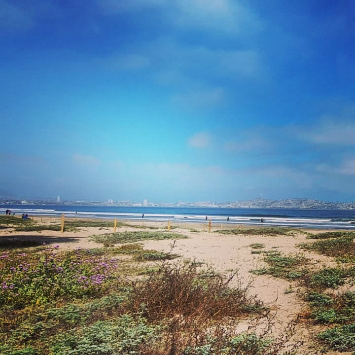Ecoturismo La Serena tweet media