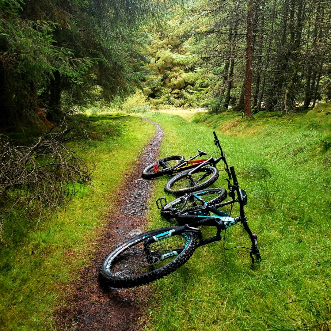 blonde_on_bikes's tweet photo. Prepared for the rain then the π came out and it was beautiful again π #mountainbiking #bellesonbikes #bordersbelles #scottishborders #cloichforest #droveroad #mountainbikelove #womenwhoridebikes https://t.co/XxSXCi2cCp