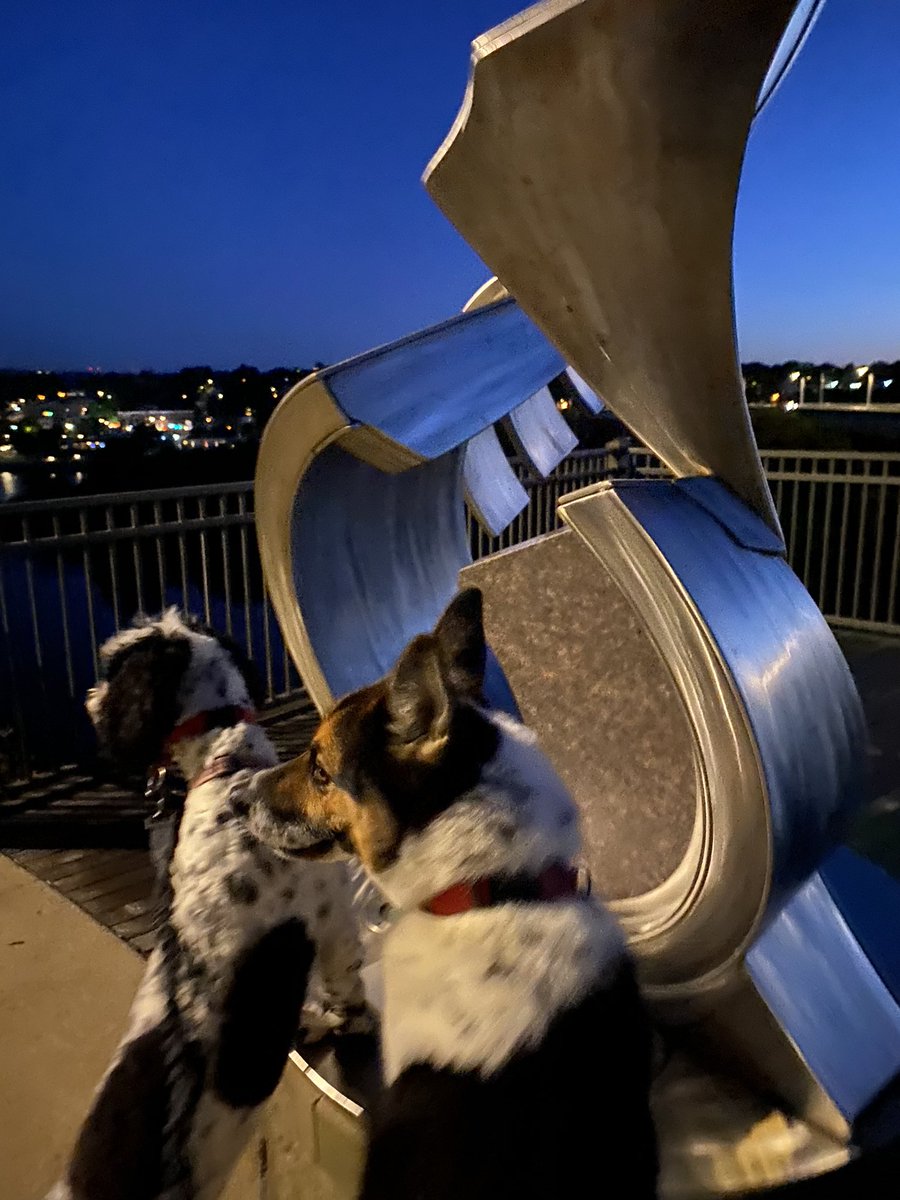 DrMarthaGulati's tweet image. Early run (as usual) but in a different locality! And with #BinkleyLove &amp;amp; #CocoBella #cardiologistwhorun 

Thanks to the @theEdwinhotel for taking such good care of us!