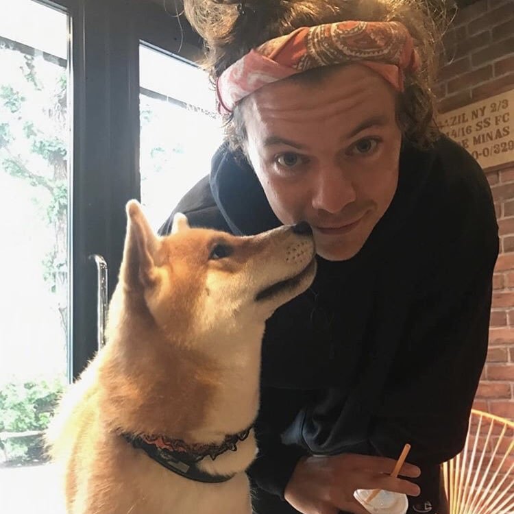 stylesssarchive's tweet photo. https://t.co/W1zFSt0BPg