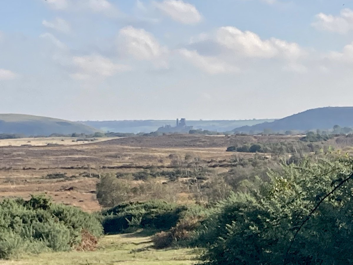 VikkiSlade72's tweet photo. One of the positive takeaways of the Time of Covid - our tradition of exploring our county on a Sunday continues! #DramaticDorset #wonderfulWareham https://t.co/4w0Z9JGjqs