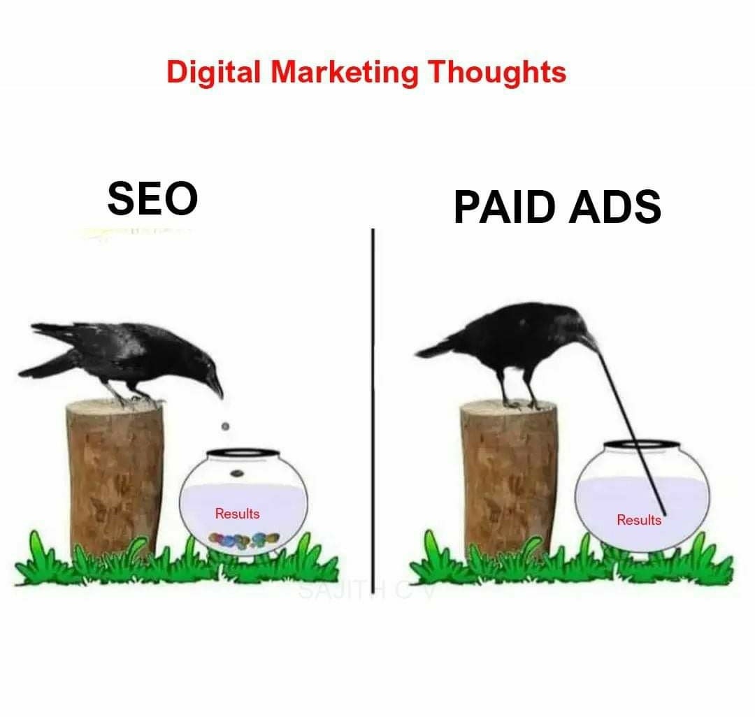 sachiruchaitu's tweet image. SEO vs Paid Ads

#SEO
#ADS
#DigitalMarketing