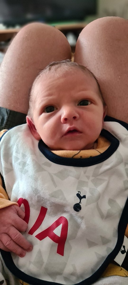SamBromley's tweet photo. Ready for his first @SpursOfficial game #COYS #spurs #firstgame #spursdribbler #tottenhamhotspur #spursfan #spursbaby #elliottsamuelthomasbromley #elliottbromley https://t.co/5Q9SZO5XsW