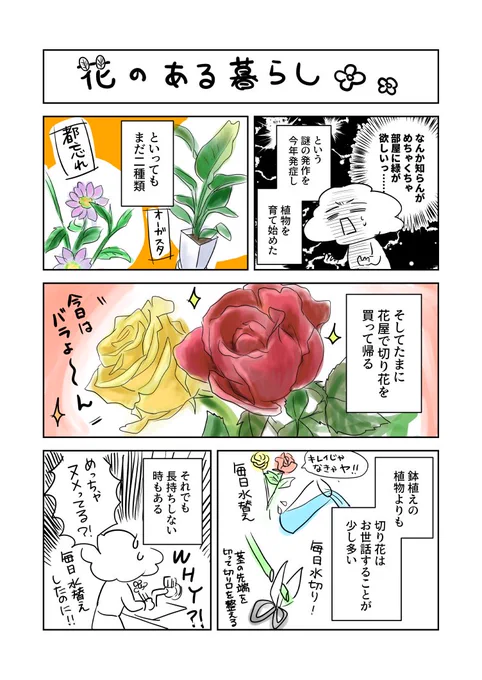 今日買ったのは「はりもぐハーリー」の花#花のある暮らし #コミックエッセイ #絵日記#エッセイ漫画 
