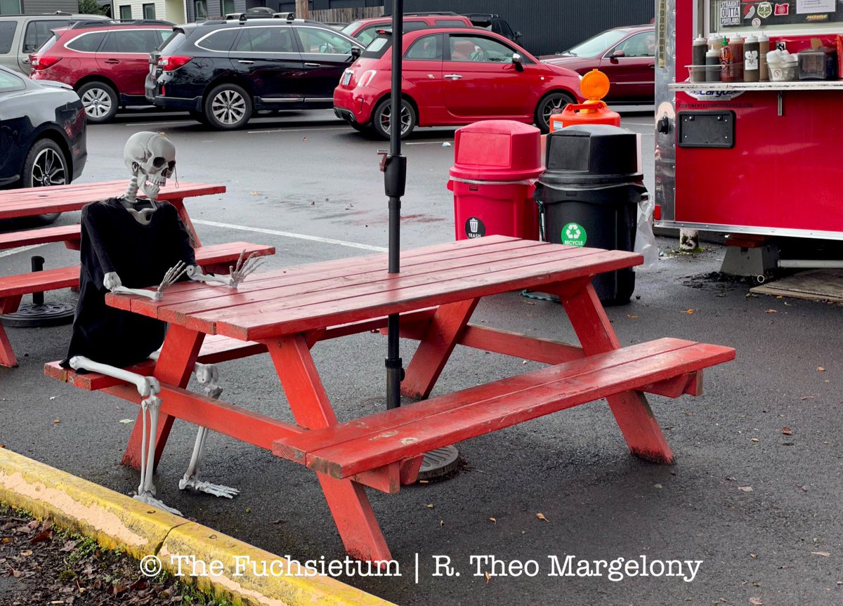FuchsiariusToo's tweet photo. Scene in Portland. Patience. #SceneinPortland https://t.co/cPsYioAt8F