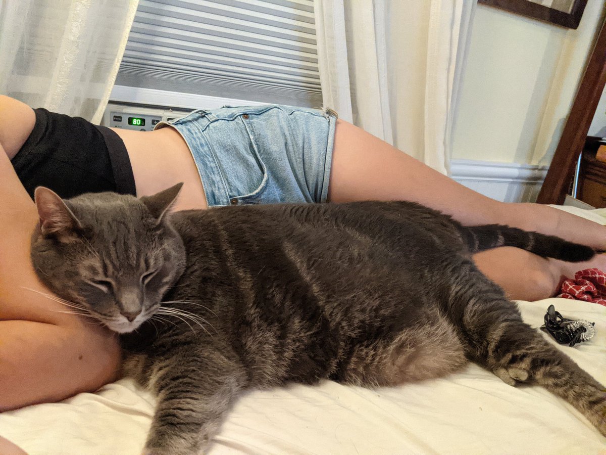Menchuvian's tweet photo. @live4sights Gus, guardian of my bed. 5'7" 140lb woman included for scale. https://t.co/cJteaha5Q6