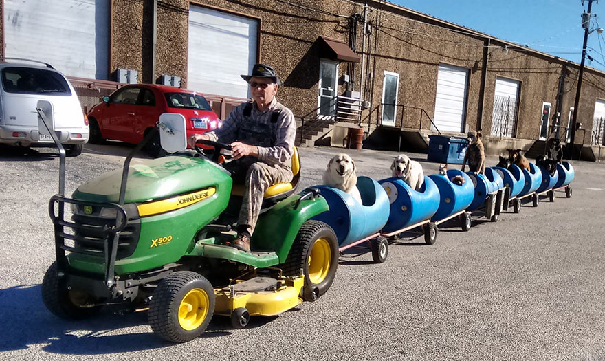 HijadeHelghan's tweet photo. Señor de 80 años que construyó un tren para perritos rescatados. https://t.co/DJYjKS3G4A