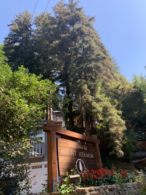 SplashMagWW's tweet photo. Exhilarating Exhales 80 Feet above the Forest – Mount Hermon Adventures https://t.co/oAB8xMTDcT  @USTravel @VisitCA @MH_Adventures #obstaclecourse #adventure #hiking #experience #treetop #thrill #challenge #bridges #ropes #guides #trees https://t.co/6SUCgCrwZy