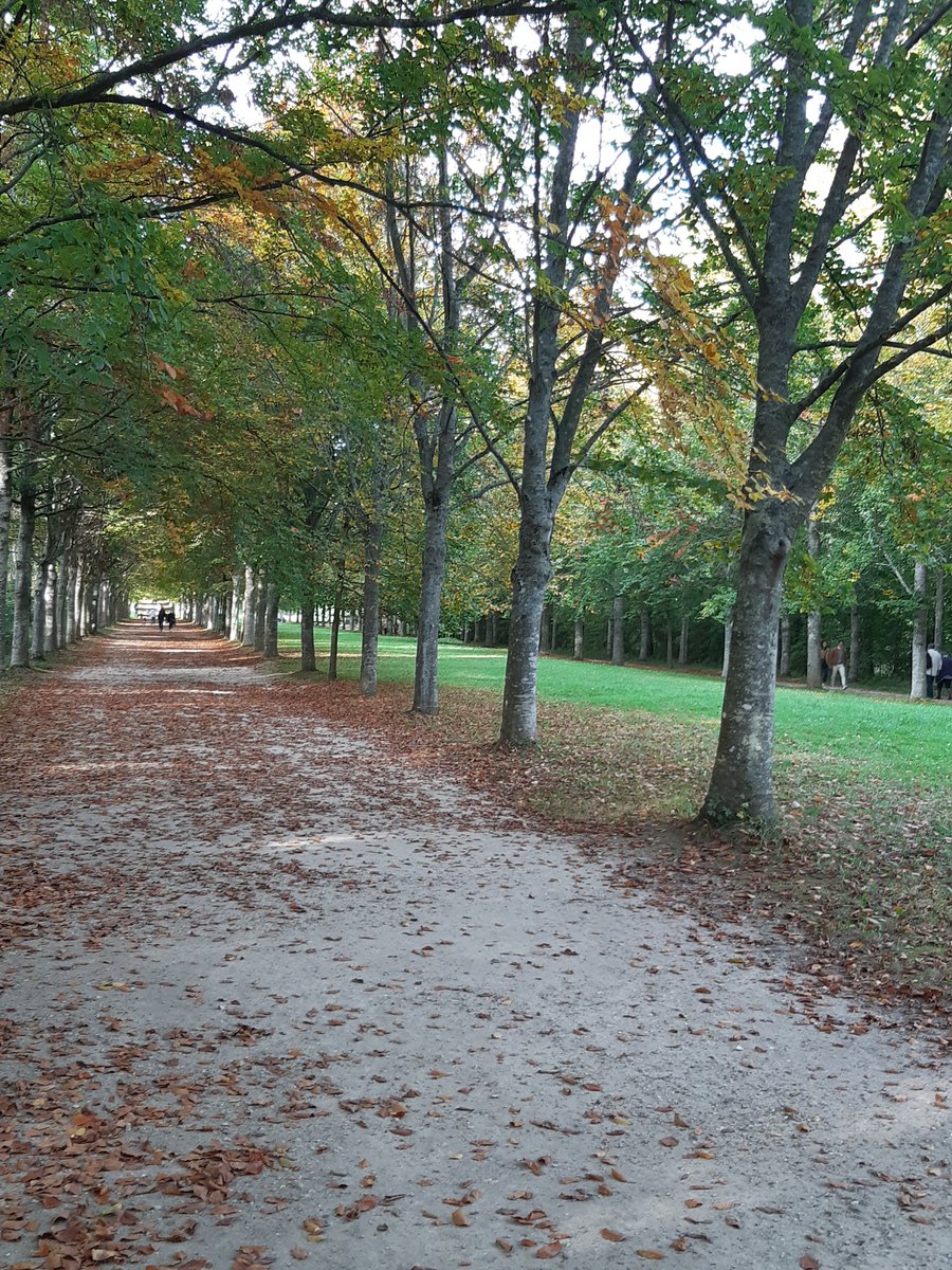 Brolin_girl5's tweet photo. Petite balade de 2h (avec des pauses🤣) dans le parc du chateau de Versailles #35SA https://t.co/oV9ScwxovR
