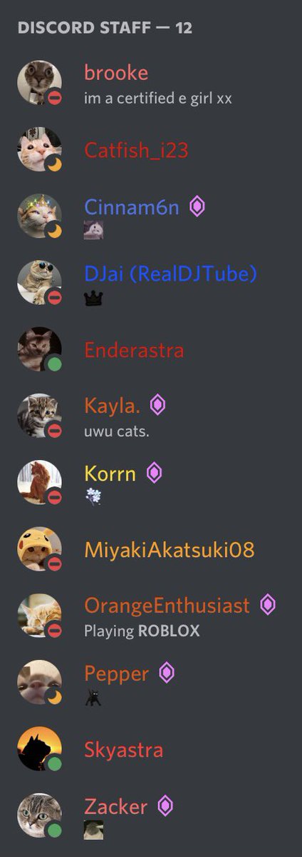 _Skyastra's tweet photo. #CatStaff! https://t.co/Fh1SIAEgRN