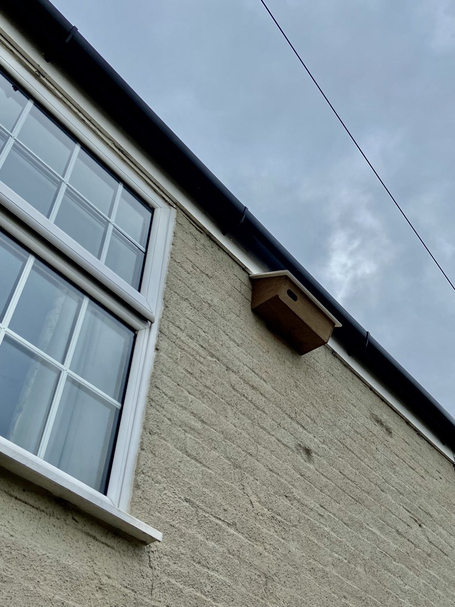 If any SWIFTS out there are looking for holiday accommodation for next year then we’ve finally installed a detached, single-room cottage with views over fields. @SaveourSwifts @_BTO @Natures_Voice @WildlifeTrusts @BBCSpringwatch @ChrisGPackham @NorfolkBirds @BirdWatchDaily