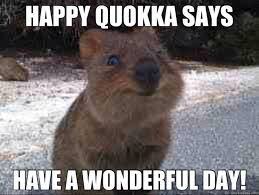 PranayPattani's tweet photo. @QuokkaEmpireNFT #NFT https://t.co/QZyS4IMNUY