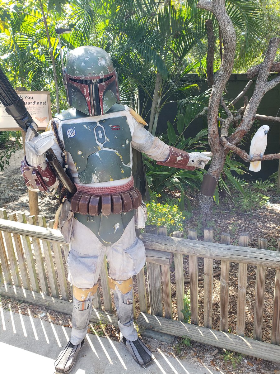 Drgnfly5931's tweet photo. Fun Halloween event at @BrevardZoo for Boo at the Zoo! 🦘👻 #starwars #501stLegion #floridagarrison #makazesquad #rebellegion #rakurabase #costume #cosplay #zoo #Halloween #Stormtrooper #jedi #bobafett #jeditempleguard https://t.co/4lpSpd0YdP