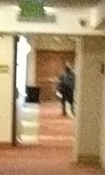 SiberHamster's tweet photo. @frostbitefox What is in their hand? 🔪 The suspect at the end of the hallway looks awful stabby! #RFstabber https://t.co/oM1lluYE0q