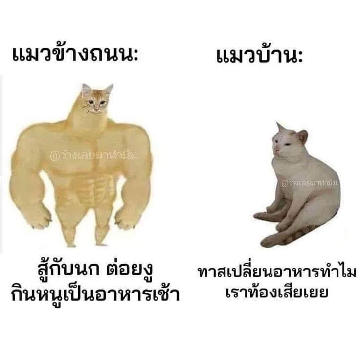 𝑯. 𝑷𝒐𝒕𝒕𝒆𝒓 ⚡️ tweet media