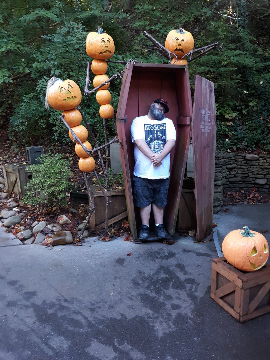 dmichael1384's tweet photo. Rest In Pumpkins @Dollywood @undertaker @WWERomanReigns #Dollywood @WWEUsos @HeymanHustle #TheBloodline #someonesyard https://t.co/EOVfmLB6Jr
