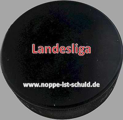 nstramm's tweet photo. zum Abschluss des 1. Spieltags gab es das Spiel zwischen dem ERSC Berliner Bären und dem SCC Berlin. Hier ist der Bericht ⬇⬇⬇

https://t.co/0ZZphgvu3M https://t.co/Lw7WHGbdbu