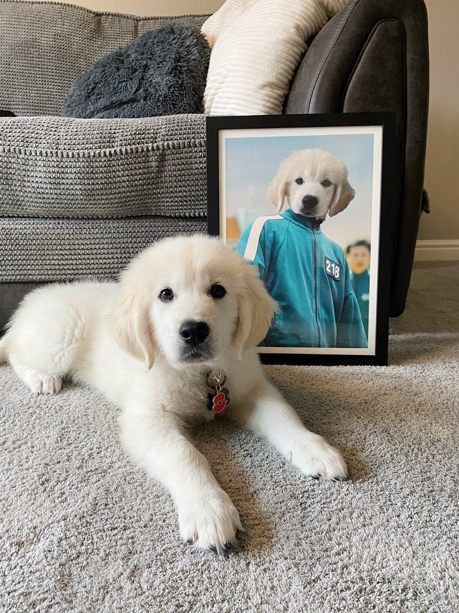 Joe Tasker tweet media