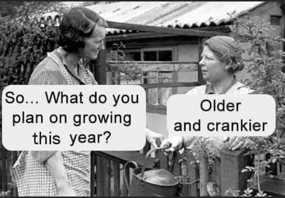 LaughOutLander🌮 (@laughoutlander) on Twitter photo 