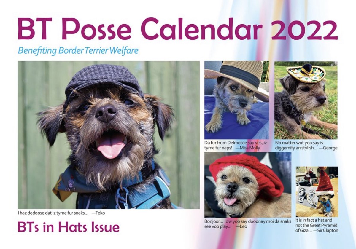 Exciting news from the #BTPosse Calendar team! 👀 
With their #BorderTerriers In Hats theme, this 2022 Calendar is a sure fire best seller &amp; a fundraiser for us too! 😍
We’ll be sure to update you when it goes on sale @Feelwells 🙌