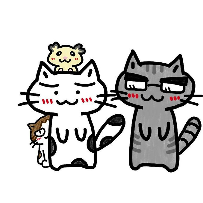 アメショのtwitterイラスト検索結果