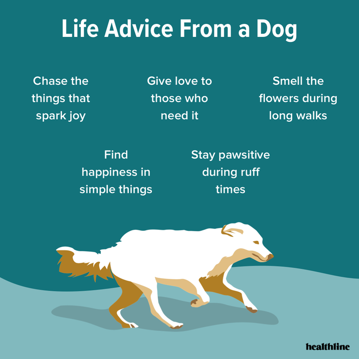 Healthline's tweet photo. Some wisdom from our furry friends. 🐶 https://t.co/qYmEv3CCNF