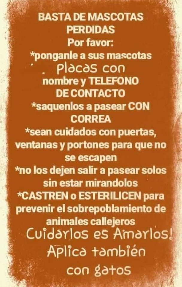 SaGatonera's tweet photo. #SiguesResponsable #Esterilitza https://t.co/24g9GFJCiR