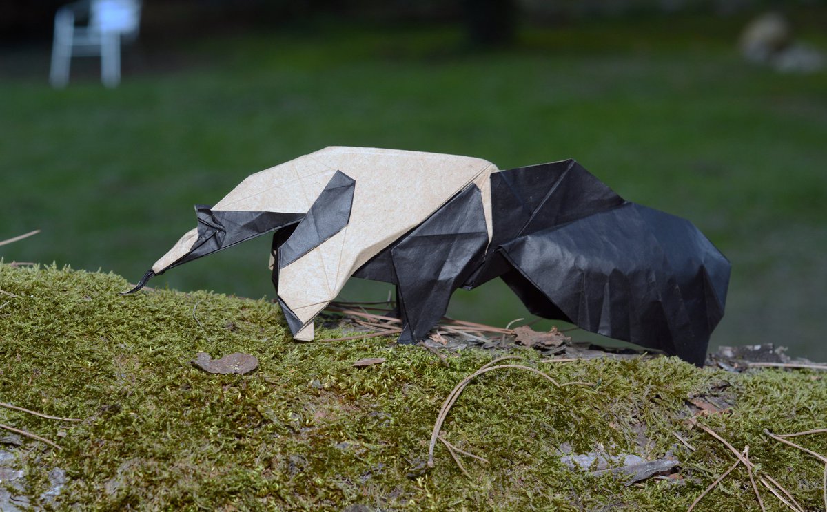 Giant anteater de Maeng Hyeong Kyu