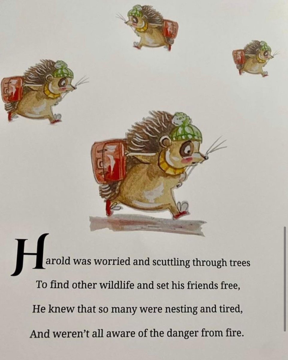 Mr Lumpy &amp; Friends second hardback children’s book 
“Mr Lumpy saves the Day”
Is arriving in the next few days, here are a few snippets and pictures from it. It’s available to pre order and postage within the next few days. 
mrlumpyandfriends.shop/shop
Worldwide postage available 🙏