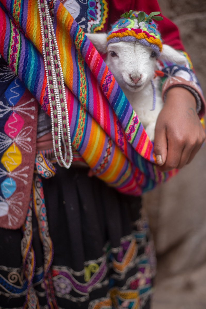 charmednomad's tweet photo. Get your FREE Traveler’s Guide to Peru for everything you need to know to plan your own D.I.Y visit including; areas to visit, things to do, foods to eat, accommodation recommendations, helpful tips, fun facts and so much more... https://t.co/ADzQDp9ysR