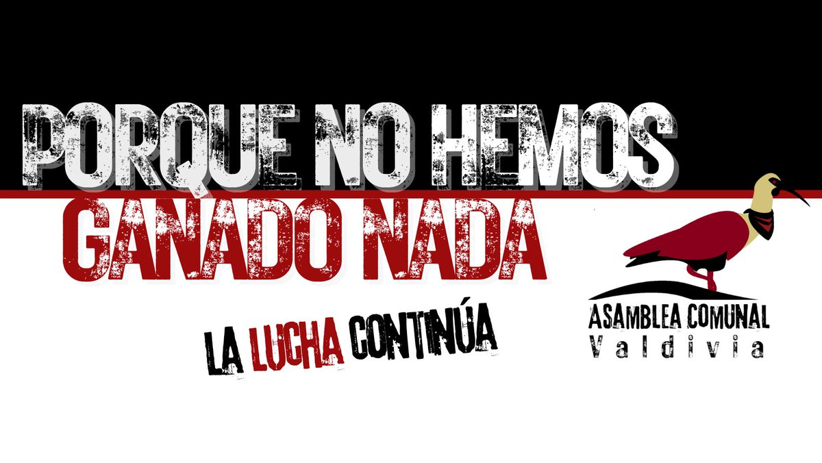 AsambleaComunal's tweet photo. A dos años de la Revuelta de Octubre... Seguimos alentando la movilización del pueblo...
#18deoctubre #FueraPiñera #Valdiviacl https://t.co/4x512SmZwk
