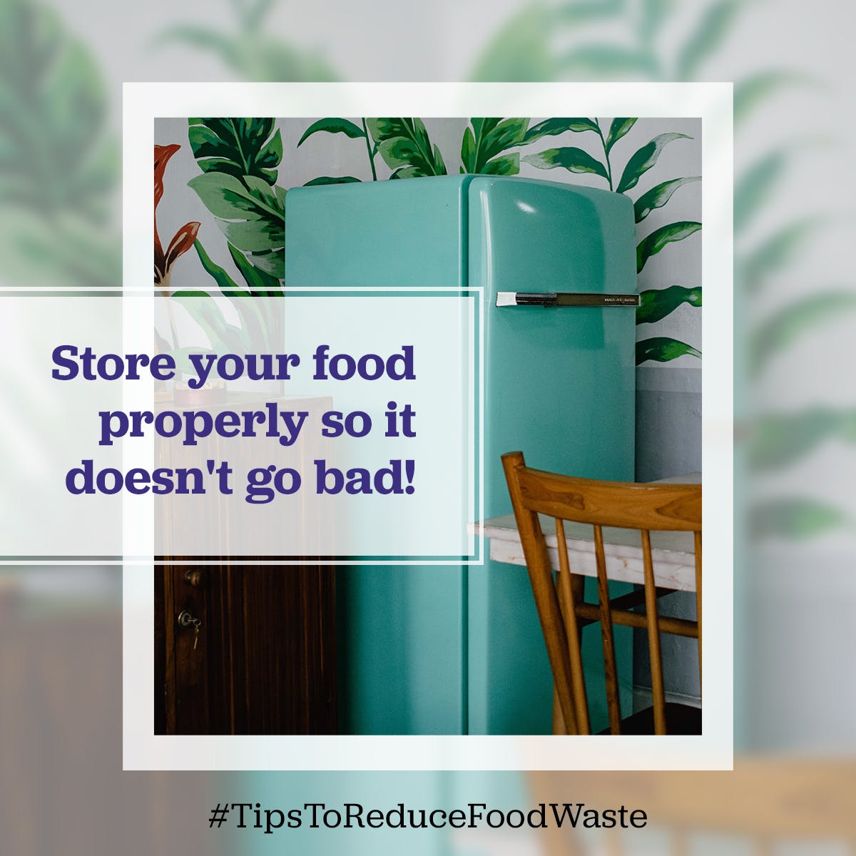 Have you checked out our special offers on our Ventsmarts and Freezer smarts? Our Ventsmarts will keep your fruit and veg fresher for longer and save you money!