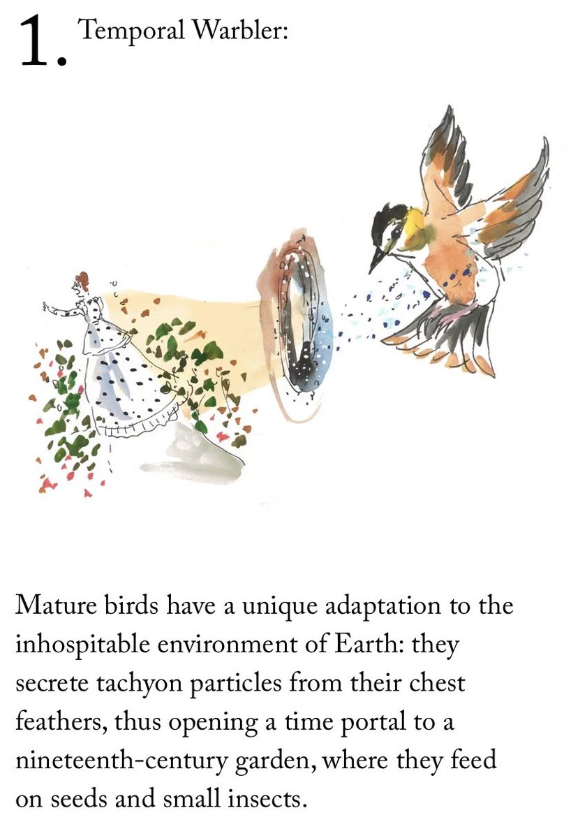 Birds of Tomorrow - The New Yorker
- Jenny Kroik https://t.co/7aIwOkdQJA