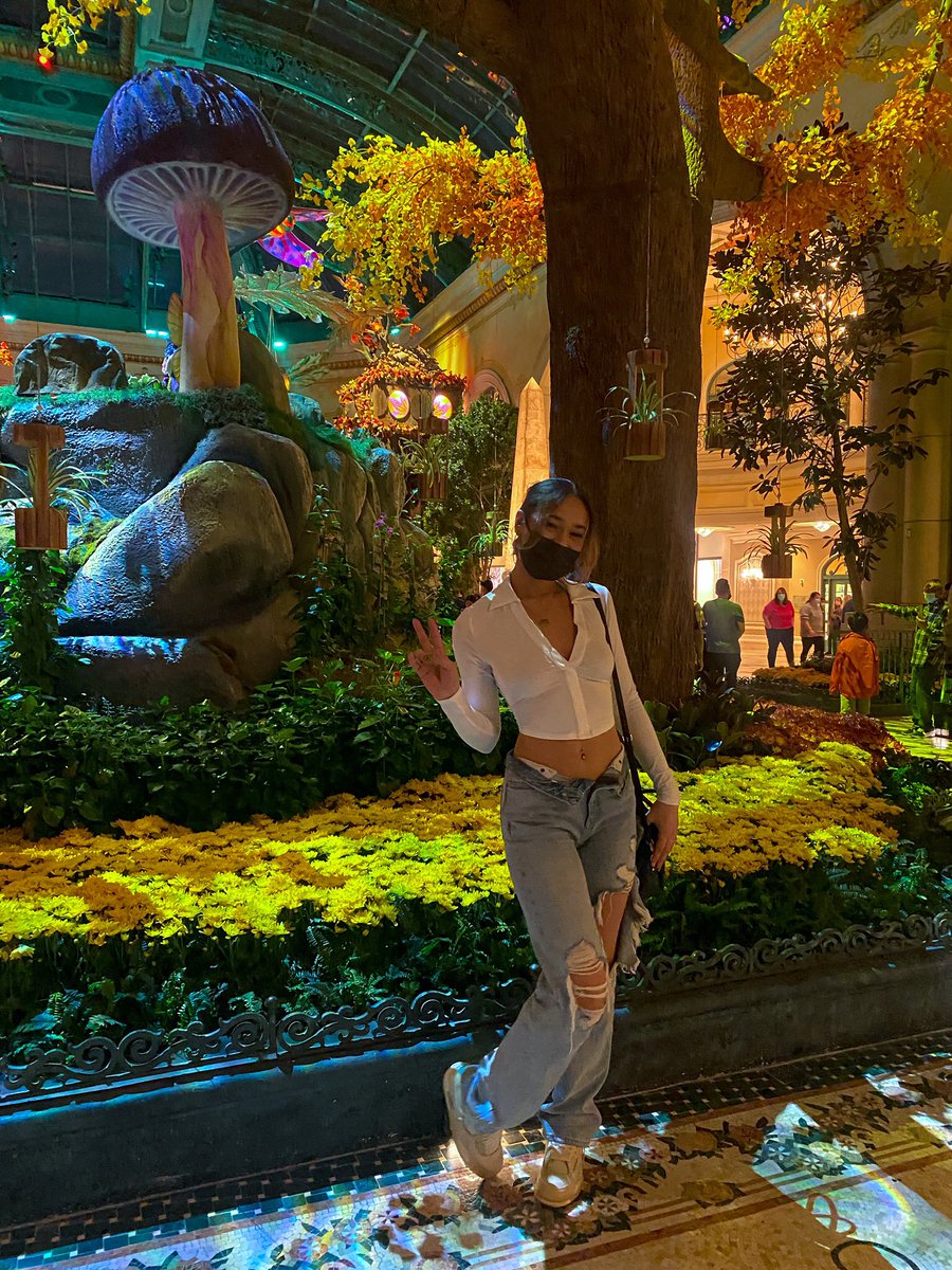 y2knai's tweet photo. tourist 4 the day 🧚🏼 https://t.co/BNWOUe9RLv