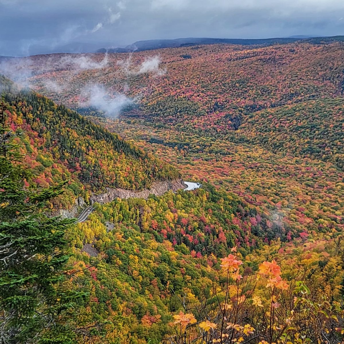 keepexploringCB's tweet photo. Nothing compares to fall in the Cape Breton Highlands 🍁🍂#fallforcapebreton #fallcolors #nsleafwatch #capebretonadventure #capebretonhighlands #parkscanada #visitcapebreton https://t.co/rAvavuHcW1