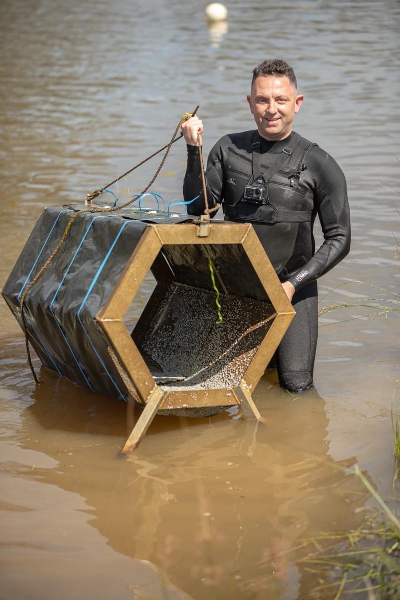 TotalNativeDVD's tweet photo. 500,000 Baby Cod!
The big boys and girls are currently in the middle of the romantic season and NSW DPI Fisheries have used the opportunity to breed half a million cod at the Narranderra Hatchery🎉 https://t.co/f7HQjrvYYf