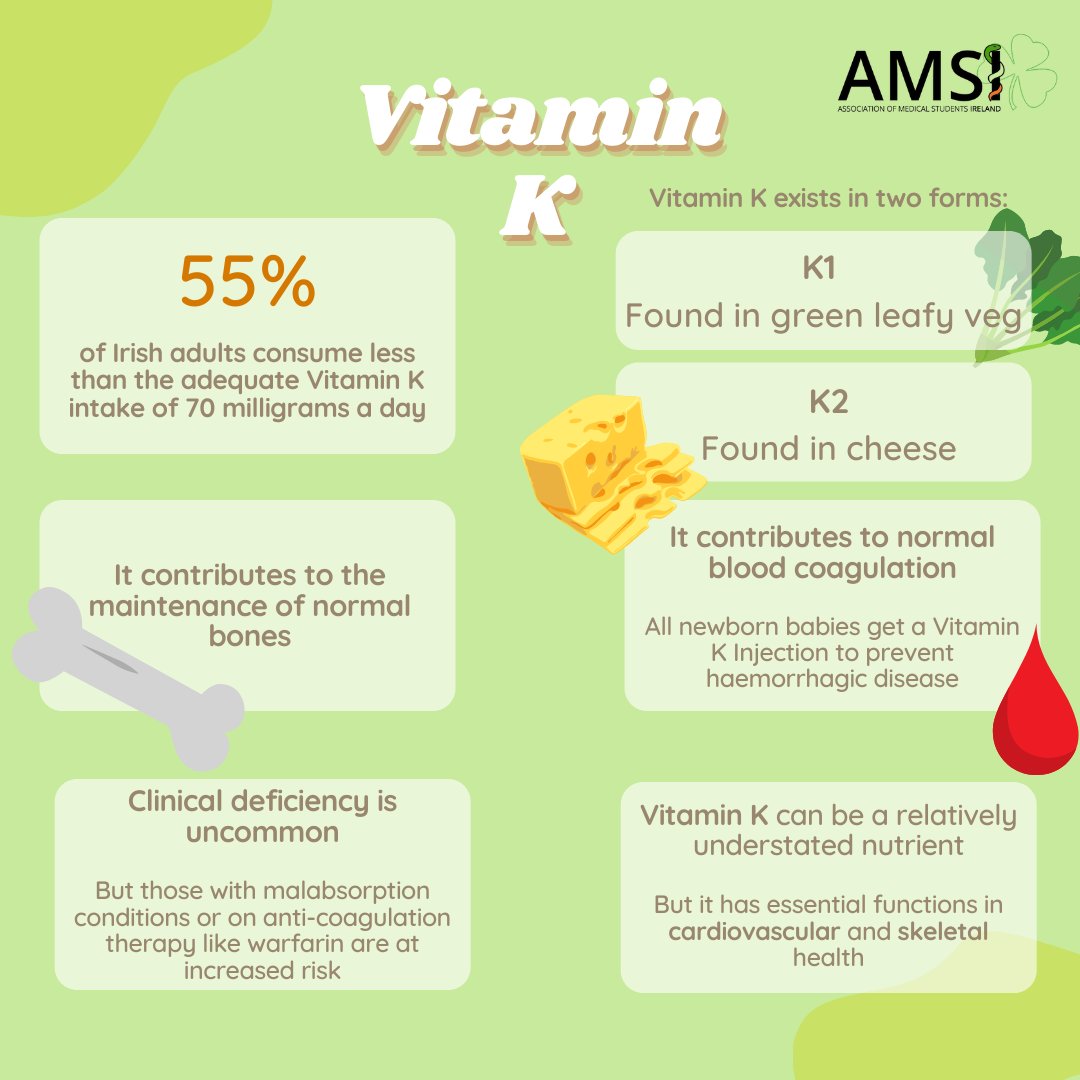 Vitamin K is an understated nutrient that has essential roles in bone and vascular health. Check out the National Dairy Council's publication for healthcare professionals at ndc.ie/wp-content/upl…