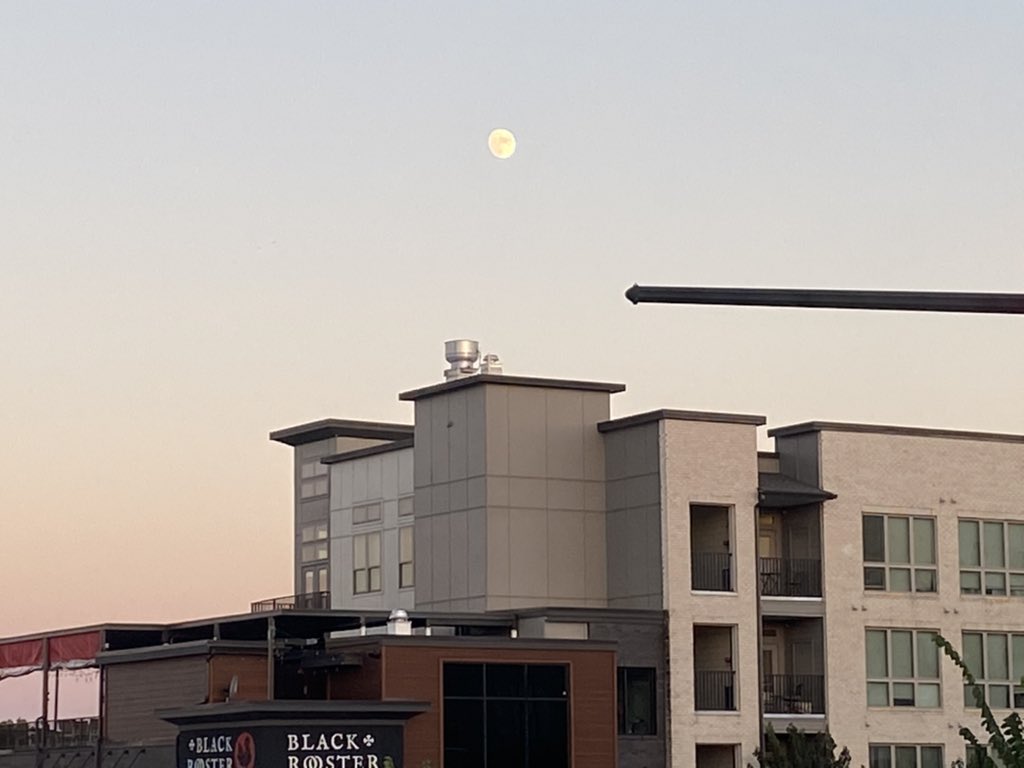 Optionistic tweet media