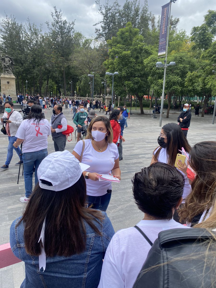 FColosioCDMX's tweet photo. Hoy dimos arranque a la jornada  #PRImeroChécate en @AlcCuauhtemocMx que realizamos en conjunto con el @ONMPRICDMX , agradecemos a la Alcaldesa @SandraCuevas_ por su acompañamiento.
@MonsePCedeno @MonseArcosV @MaribelVillaseD @BetanzosOficial https://t.co/l1A9lVoAP9