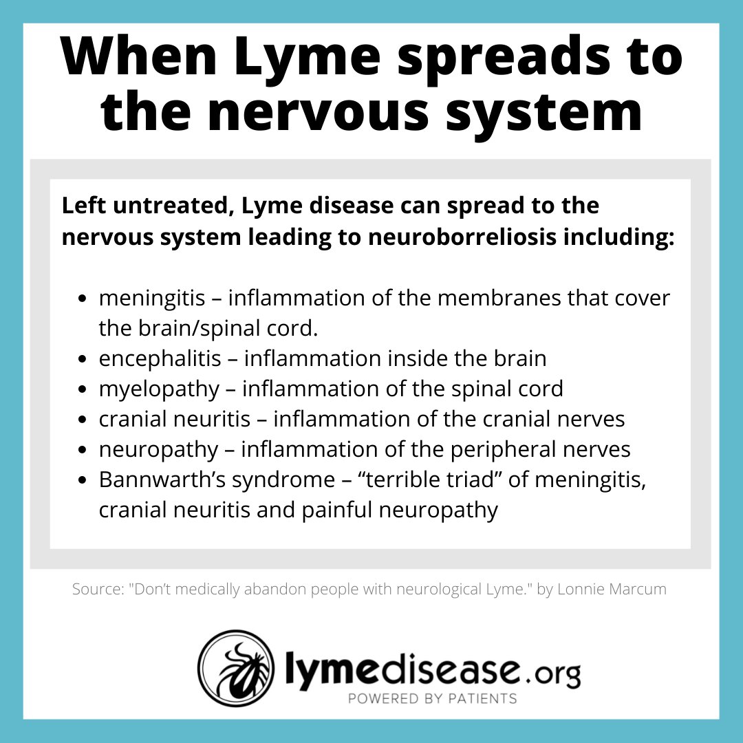 Lymenews's tweet photo. Neurological #LymeDisease symptoms are largely invisible and difficult to quantify.
A plea from @LonnieRhea to the TBDWG, "Don't medically abandon people with neurological Lyme." #InvisibleIllness #InvisibleDisabilitiesWeek https://t.co/Au36CdOVHe https://t.co/ERgVWPtoIp