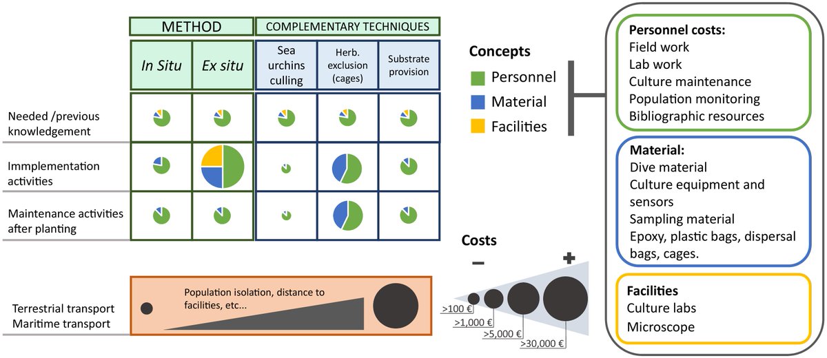 Emma Cebrian (@emma_cebrian) on Twitter photo Finally out, our last <a href="/MERCES_eu/">MERCES_eu</a> collaborative paper. We propose a roadmap for Mediterranean macroalgal restoration to assist researchers and stakeholders in decision-making. <a href="/ceabcsic/">CEAB-CSIC</a> <a href="/Med_Recover/">MedRecover</a> <a href="/GRMAR_UdG/">GR MAR_UdG</a> doi.org/10.3389/fmars.… Finally out, our last <a href="/MERCES_eu/">MERCES_eu</a> collaborative paper. We propose a roadmap for Mediterranean macroalgal restoration to assist researchers and stakeholders in decision-making. <a href="/ceabcsic/">CEAB-CSIC</a> <a href="/Med_Recover/">MedRecover</a> <a href="/GRMAR_UdG/">GR MAR_UdG</a> doi.org/10.3389/fmars.…
