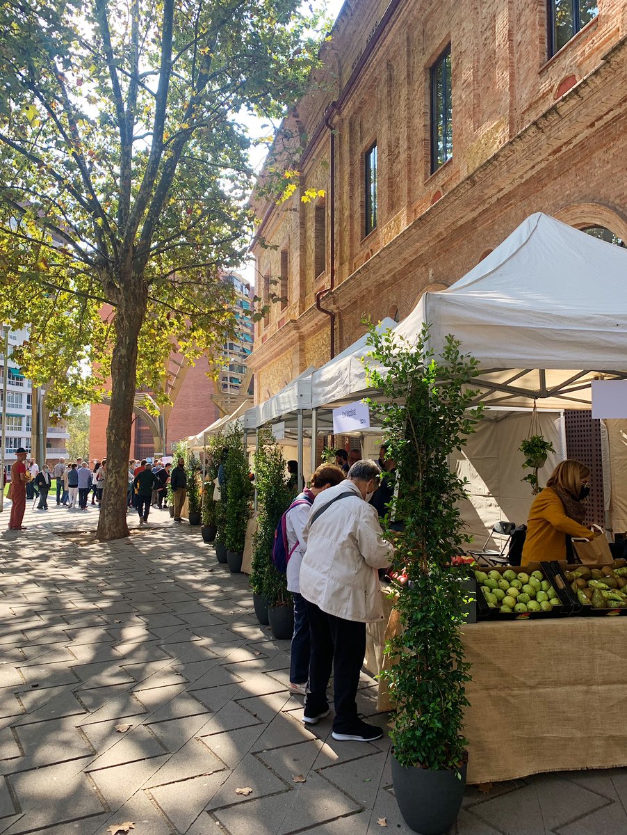 Quan el barri proposa iniciatives així de boniques ✨ Sol, música, gent al carrer, productes de l’hort i comerç de proximitat 🌱

La Barcelona de sempre té aquest encant; conservem-lo!

No sé si m’estic fent gran, però aquestes coses em fan feliç 🌼