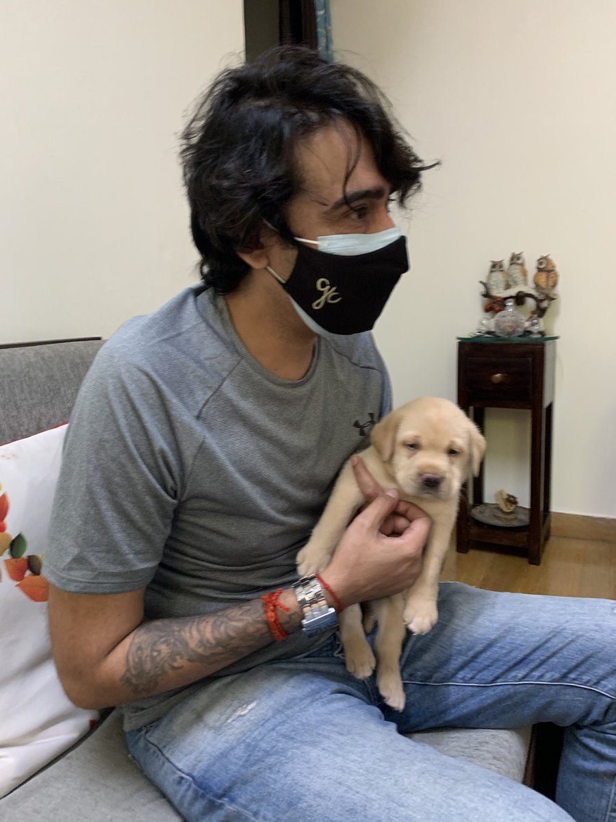 djgeecee's tweet photo. New addition to my family !! #puppy #labrador #pet #petlover !! My #Cruzo !! It’s all of 38 days young !! #pardiee !! https://t.co/chdpIkHRF5