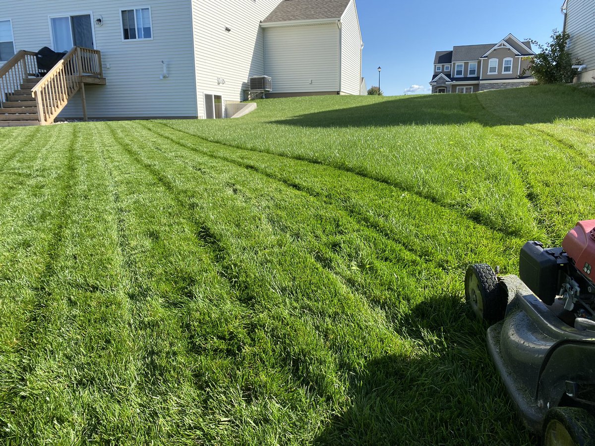 TurfSpartanLord's tweet photo. Show me it hasn’t frosted yet without telling me it hasn’t frosted yet. #FrostPlease #MorePGRs @AdvancedTurf @MtnView_Seeds and @FoliarPak FTW! 5 months old. https://t.co/kUjMkQJb1B