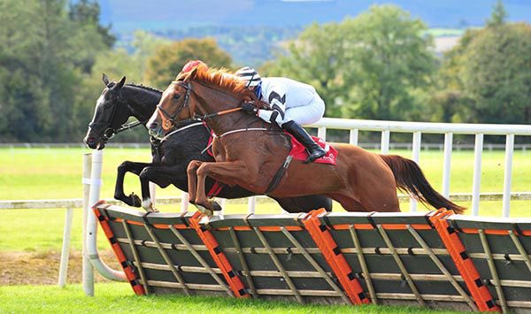 Born within a half an hour of each other in the same yard. Spent most of their early lives together. Seperated to be broken. United again in training. Winners on the same day on the same card <a href="/corkracecourse/">Cork Racecourse</a>! Dreams sometimes do come true! <a href="/HRIRacing/">Horse Racing Ireland</a> #morewinelilly #sweetstreet