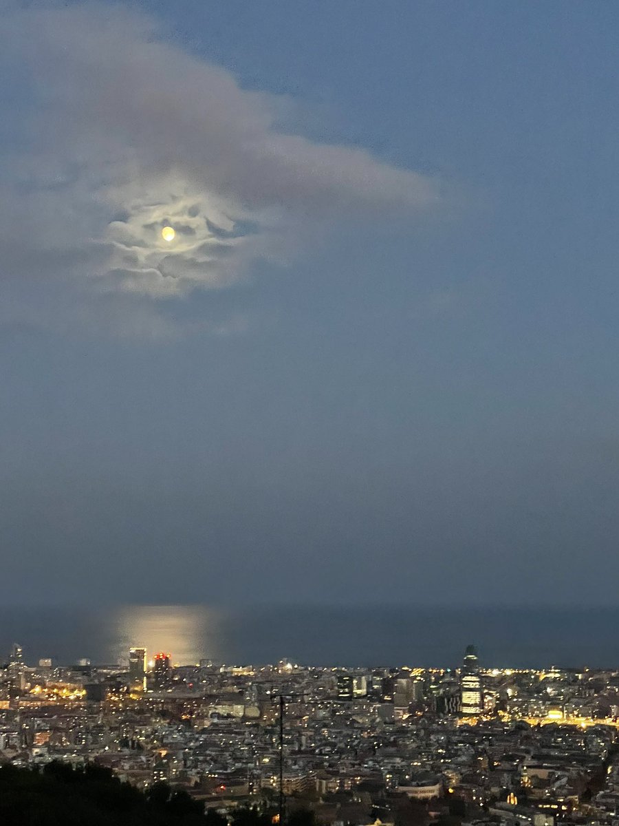 celiamatanza's tweet photo. 🌙 https://t.co/5SdKQm3Ica