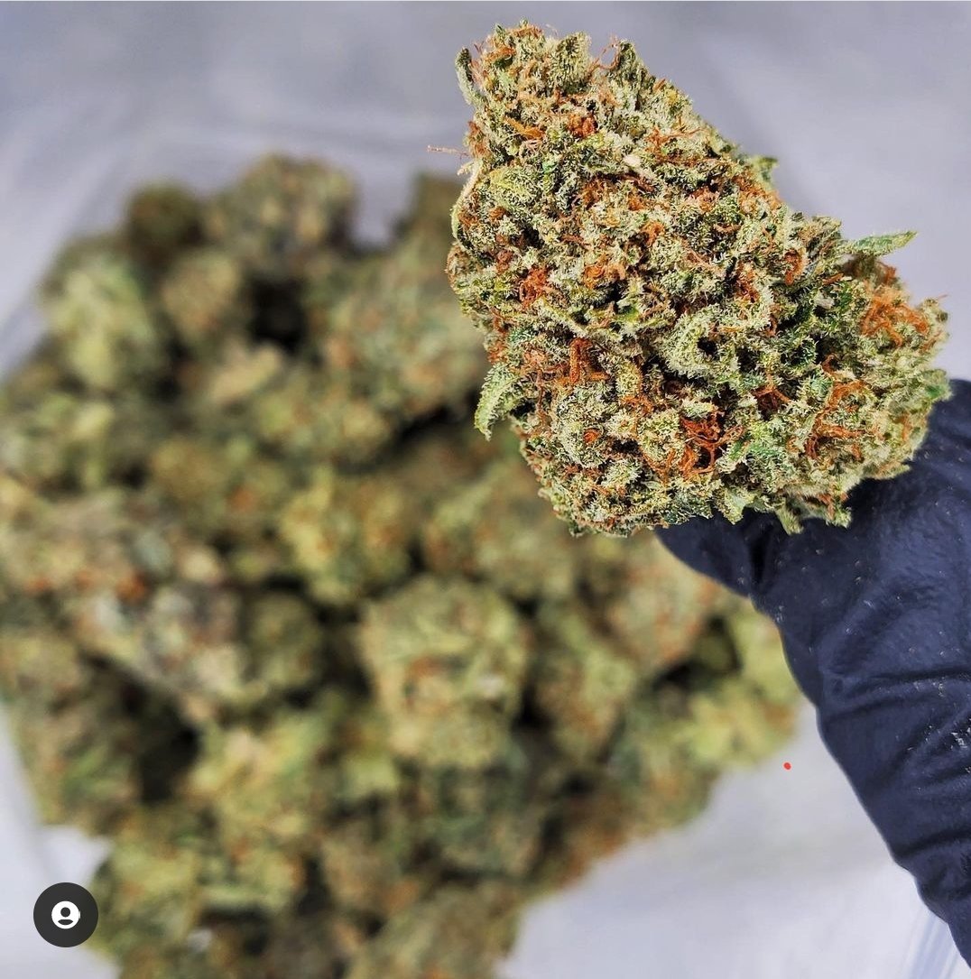 mastertokes's tweet photo. Raskal π only 120 / oz on https://t.co/iZxZsod449 π¨π¦
#CannabisCommunity #weedfeed #canadiancannabis #bakedinbc https://t.co/R6d7wbnv6c
