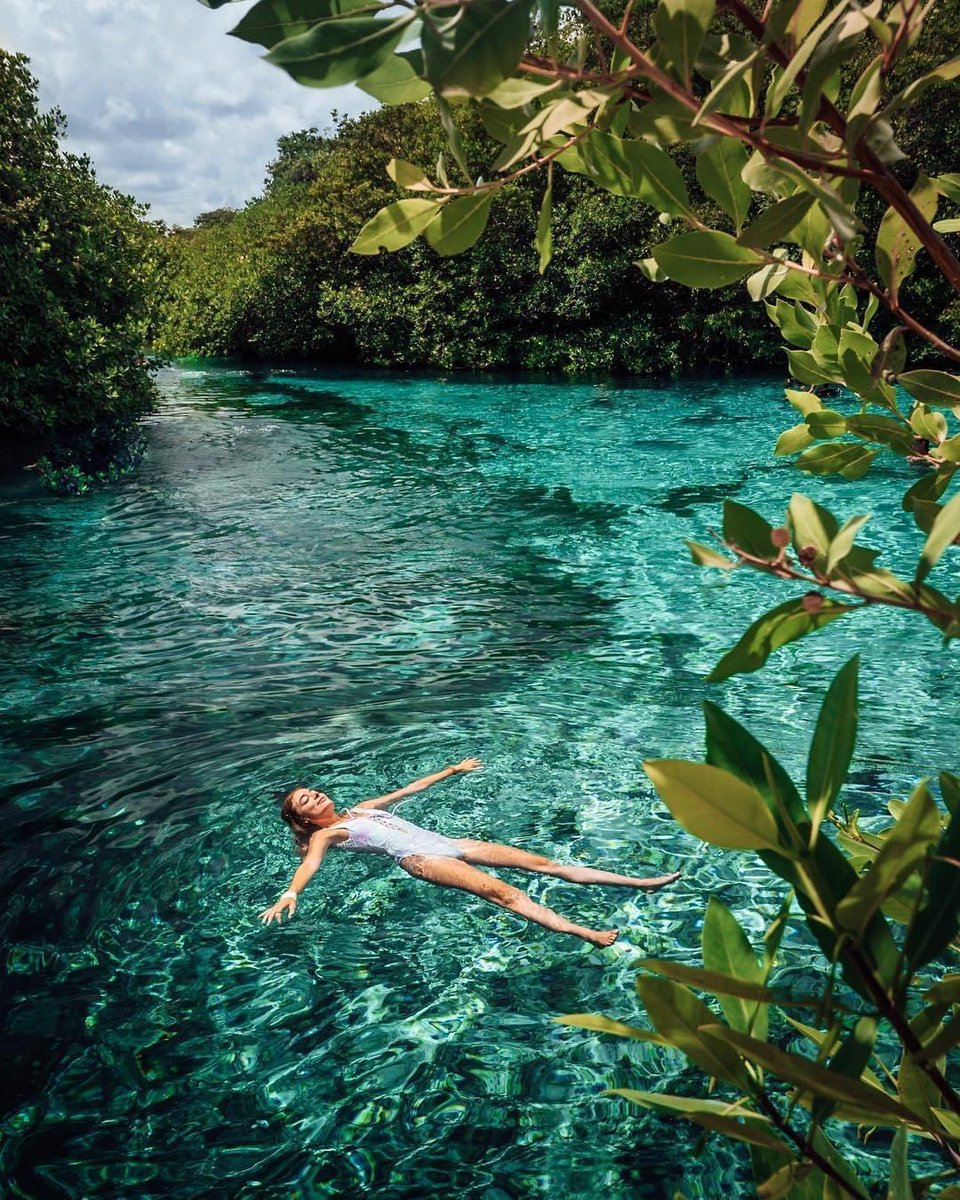 Revista_Yucatan's tweet photo. Te compartimos 3 cenotes que no te puedes perder en tu próxima visita a #Tulum ✨
1️⃣ #CenoteAzul 💙
2️⃣ #CenoteCalavera 💀
3️⃣ #CasaCenote 🏡
📷: sabineandtanner, caispictures y benchamberland vía IG https://t.co/0Ndd60g4Xy