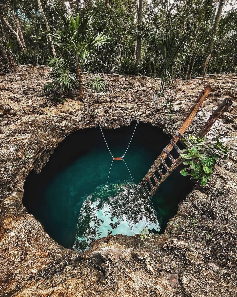 Revista_Yucatan's tweet photo. Te compartimos 3 cenotes que no te puedes perder en tu próxima visita a #Tulum ✨
1️⃣ #CenoteAzul 💙
2️⃣ #CenoteCalavera 💀
3️⃣ #CasaCenote 🏡
📷: sabineandtanner, caispictures y benchamberland vía IG https://t.co/0Ndd60g4Xy